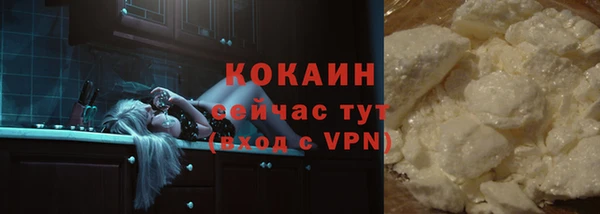 альфа пвп Гусев
