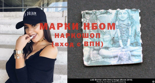 спайс Гусь-Хрустальный