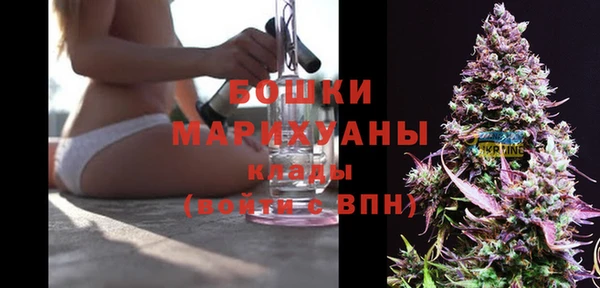 спайс Гусь-Хрустальный