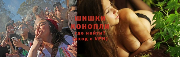 PSILOCYBIN Архангельск