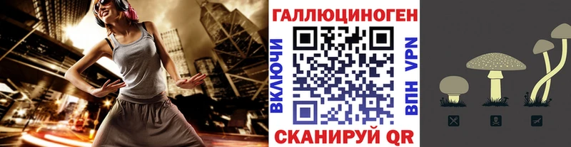 цены   кракен ССЫЛКА  Галлюциногенные грибы Psilocybine cubensis  Данилов 
